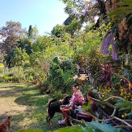 Ban Suan Nai Fun Homestay Pua Kültér fotó