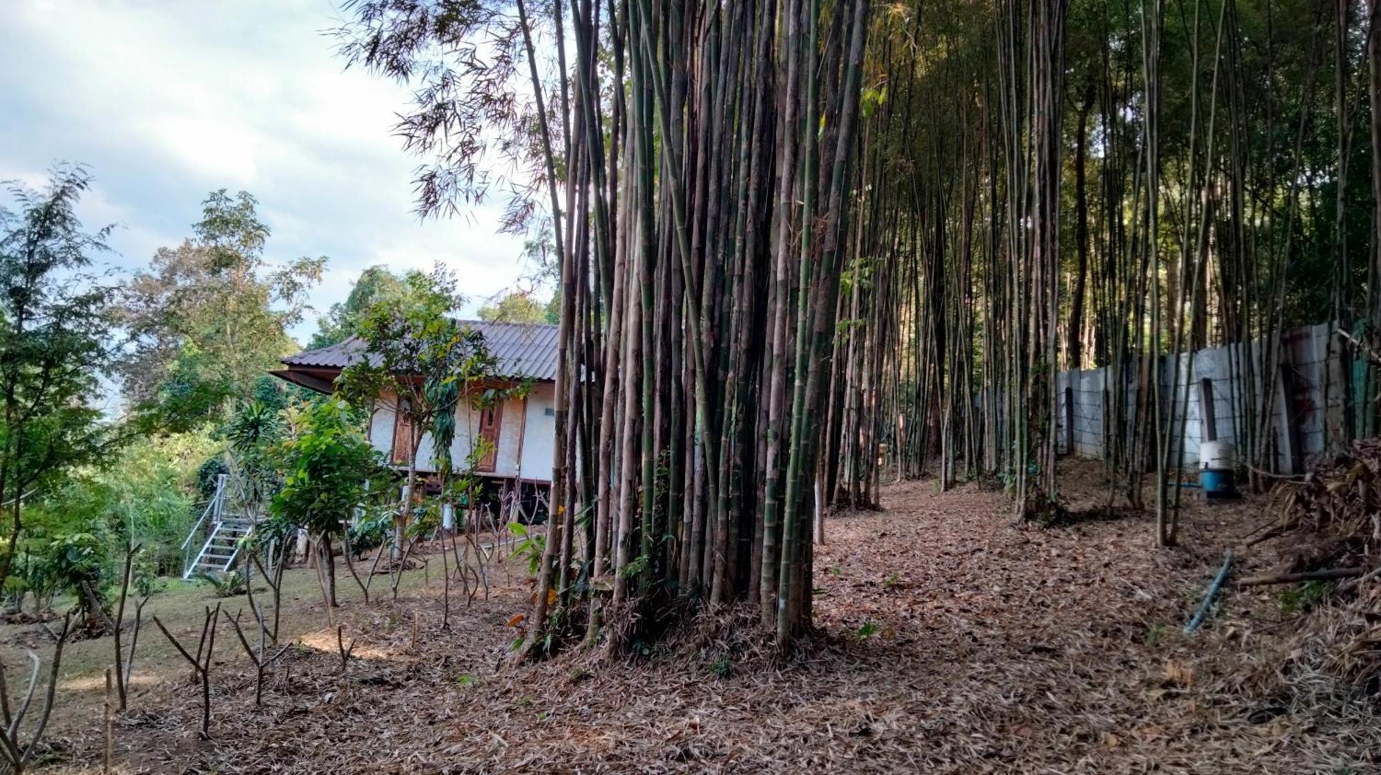 Ban Suan Nai Fun Homestay Pua Kültér fotó